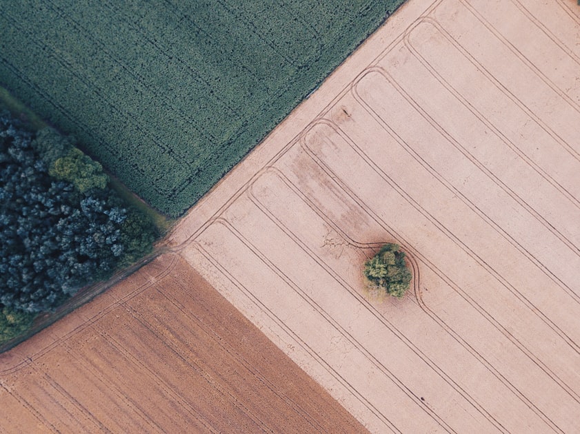 Crop Rotation Techniques